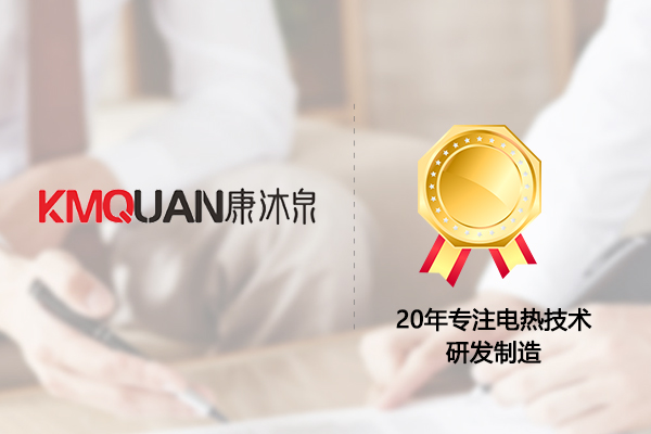 企業(yè)實力